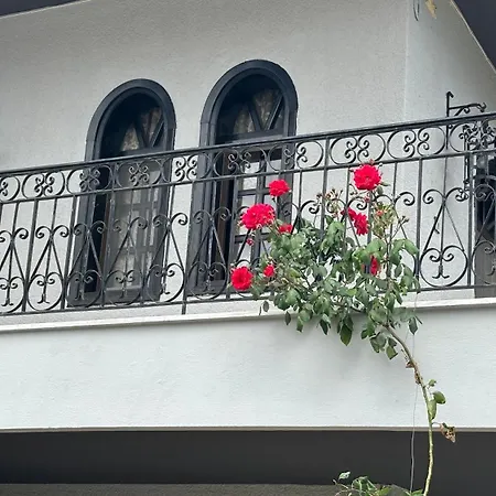 Lägenhet Greek Mansion *